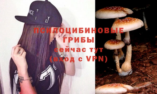 спайс Баксан