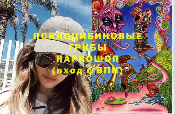 спайс Баксан