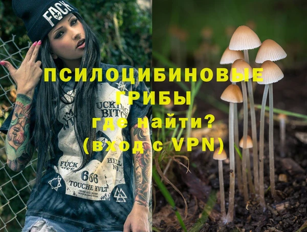 спайс Баксан