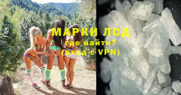 спайс Баксан
