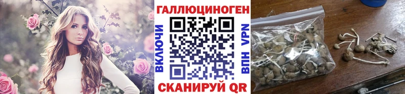 Псилоцибиновые грибы Psilocybine cubensis  купить  сайты  Рассказово 